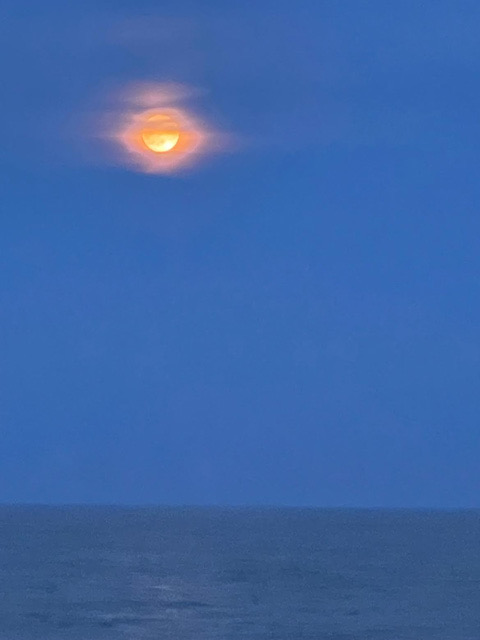 Moonrise over the Atlantic Ocean Fire Island Suzanne Tick - 2025