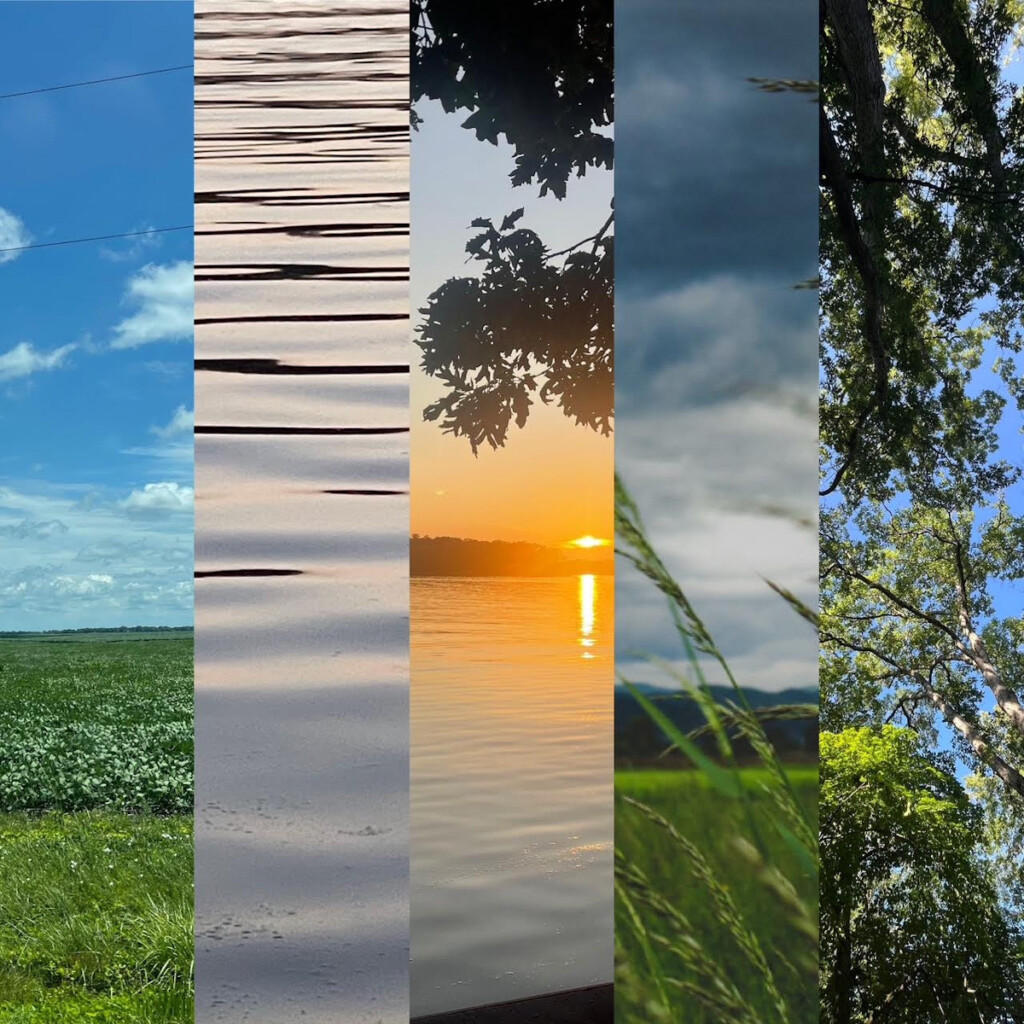 Nature's Beauty Five Elements Suzanne Tick