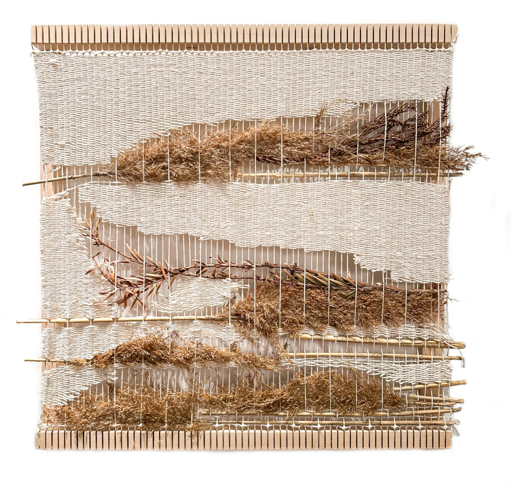 Seeds We Sow cotton and grasses by Suzanne Tick - 2023