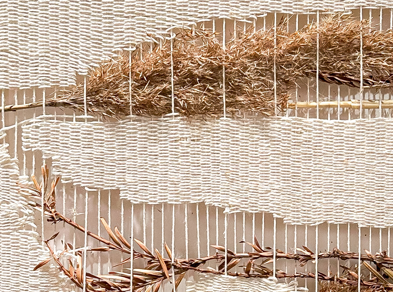 14_Seeds We Sow, 2023_closeup