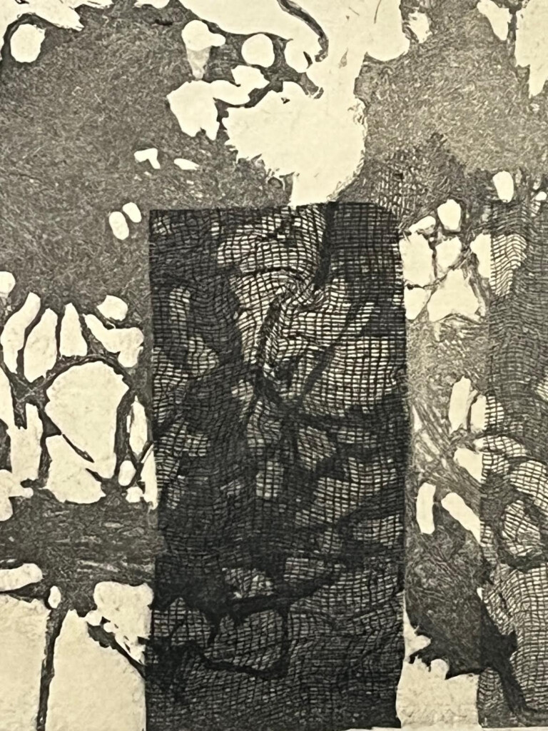 Entangled Mesh Detail Etching by Suzanne Tick 1980