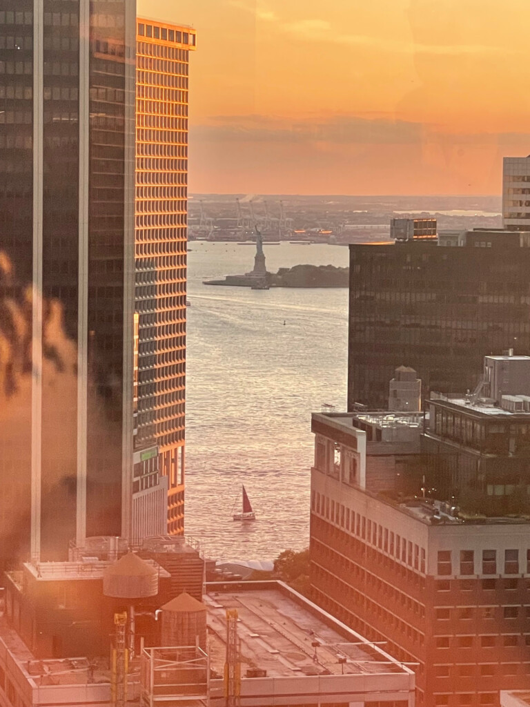 Image Statue of Liberty Water Street Projects NYC by Suzanne Tick 2025