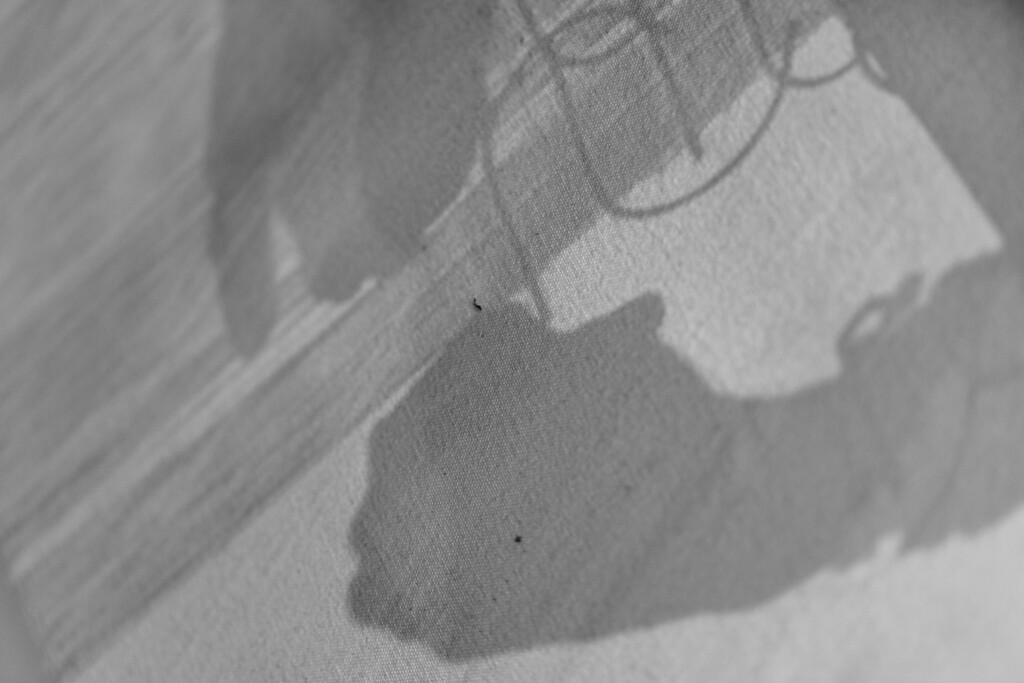 Suzanne Tick 2026 dry cleaning hangers weave shadow detail Martin Crook